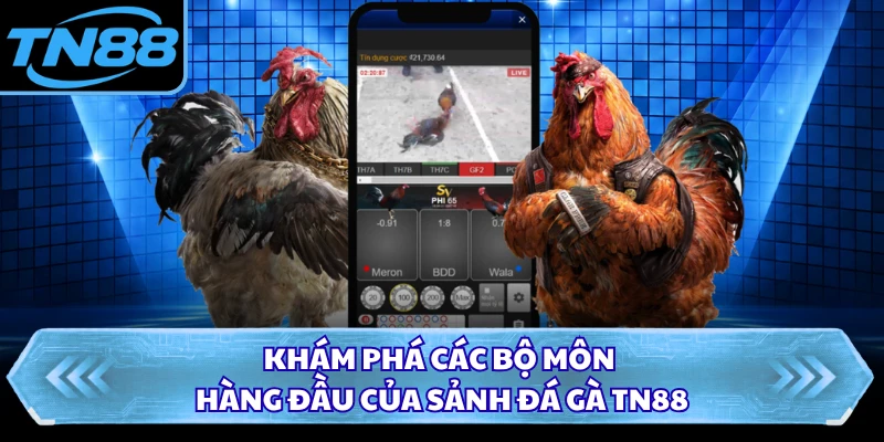 Khám phá các bộ môn hàng đầu của sảnh đá gà TN88